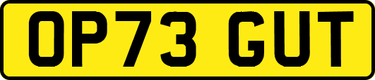 OP73GUT