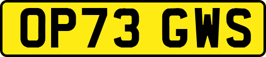 OP73GWS