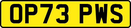 OP73PWS