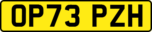 OP73PZH