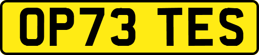OP73TES