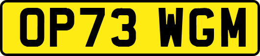 OP73WGM