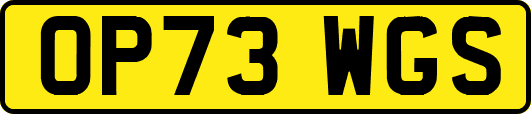 OP73WGS