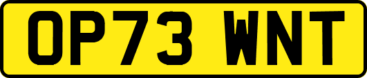 OP73WNT