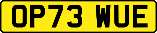 OP73WUE