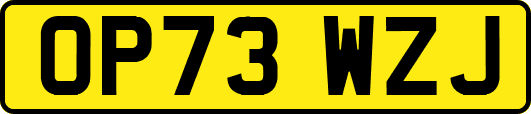 OP73WZJ