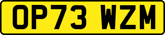 OP73WZM
