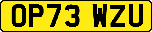 OP73WZU