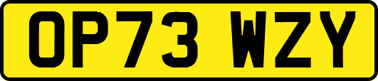 OP73WZY