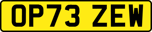 OP73ZEW