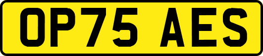 OP75AES