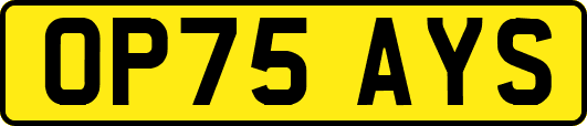 OP75AYS