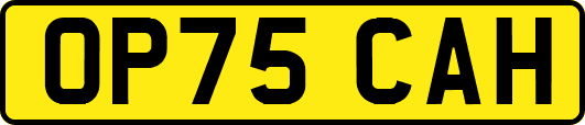 OP75CAH