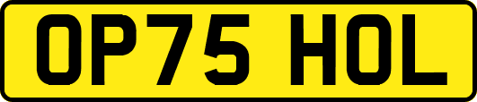 OP75HOL