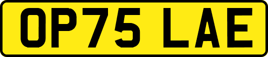 OP75LAE