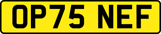 OP75NEF
