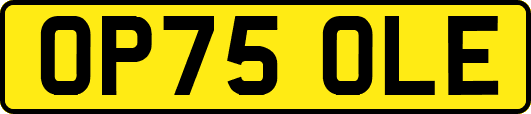 OP75OLE