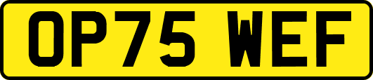 OP75WEF