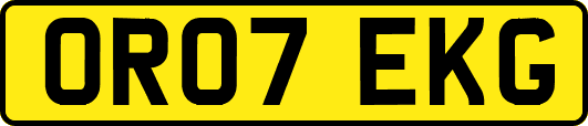 OR07EKG