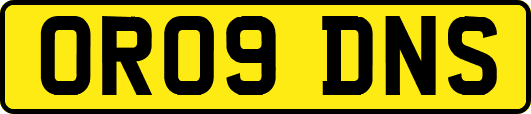 OR09DNS