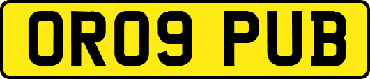 OR09PUB