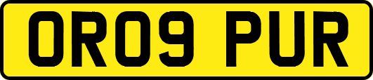OR09PUR