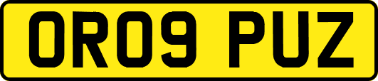OR09PUZ
