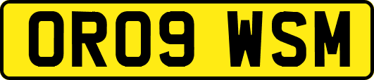 OR09WSM