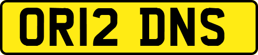 OR12DNS