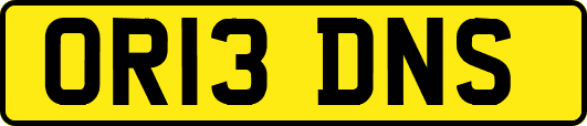OR13DNS
