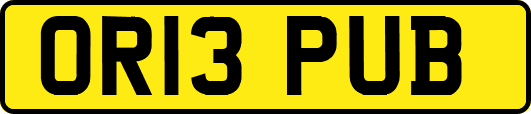 OR13PUB