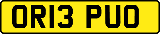OR13PUO