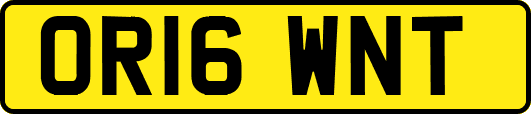 OR16WNT