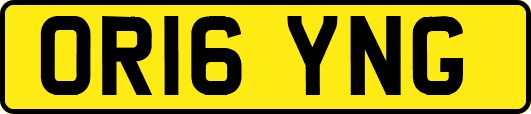 OR16YNG