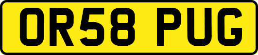 OR58PUG