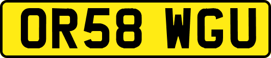 OR58WGU
