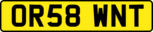 OR58WNT