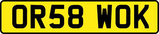 OR58WOK