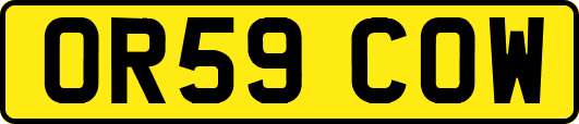 OR59COW