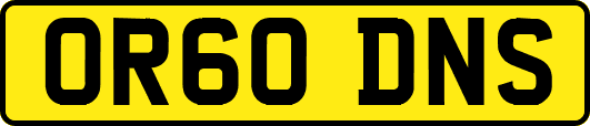 OR60DNS