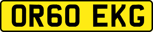OR60EKG