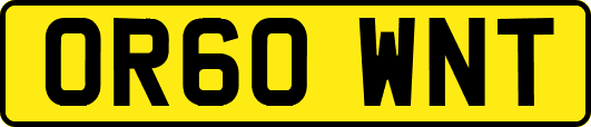 OR60WNT