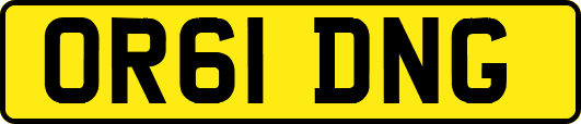 OR61DNG
