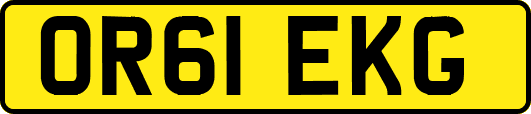 OR61EKG