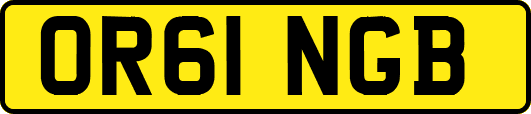 OR61NGB