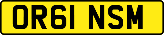 OR61NSM