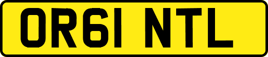 OR61NTL