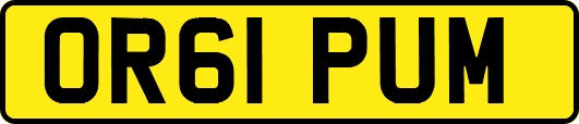 OR61PUM