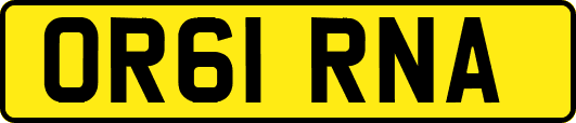 OR61RNA