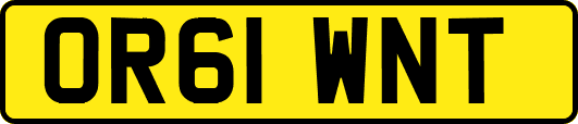 OR61WNT